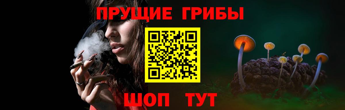 Галлюциногенные грибы GOLDEN TEACHER  Вход с VPN  Великий Устюг  Псилоцибиновые грибы Psilocybe 
